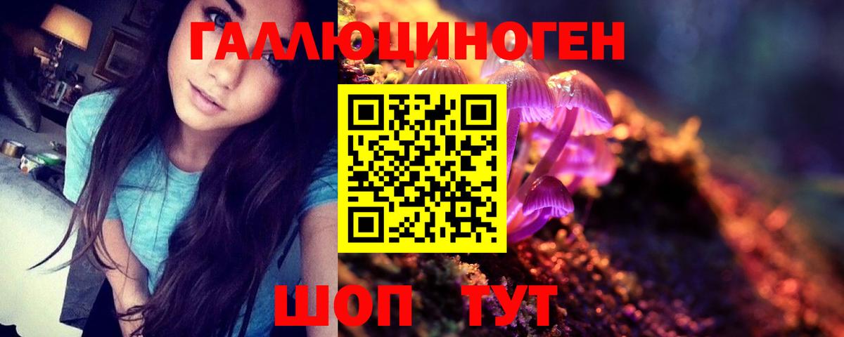 Псилоцибиновые грибы мицелий Урус-Мартан
